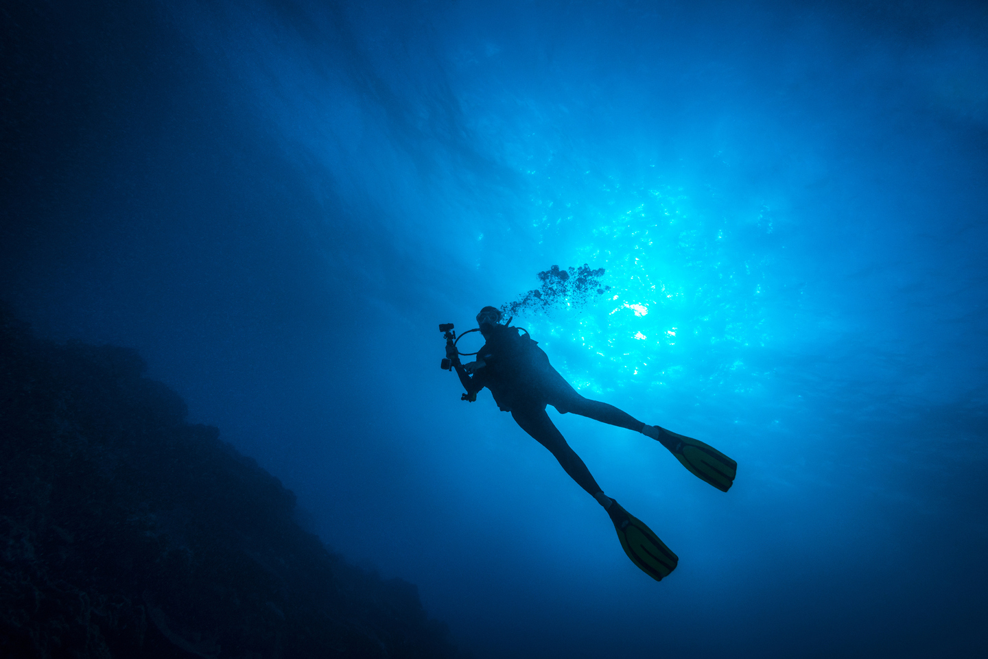 image from Decompression: How Scuba Diving Teaches Us to Beat Burnout